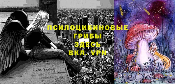 кокаин Алексеевка